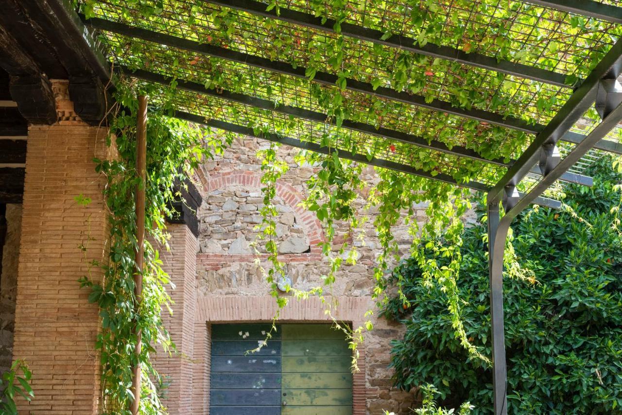 Fattoria Pian Di Rocca Bed & Breakfast Castiglione della Pescaia Exterior photo